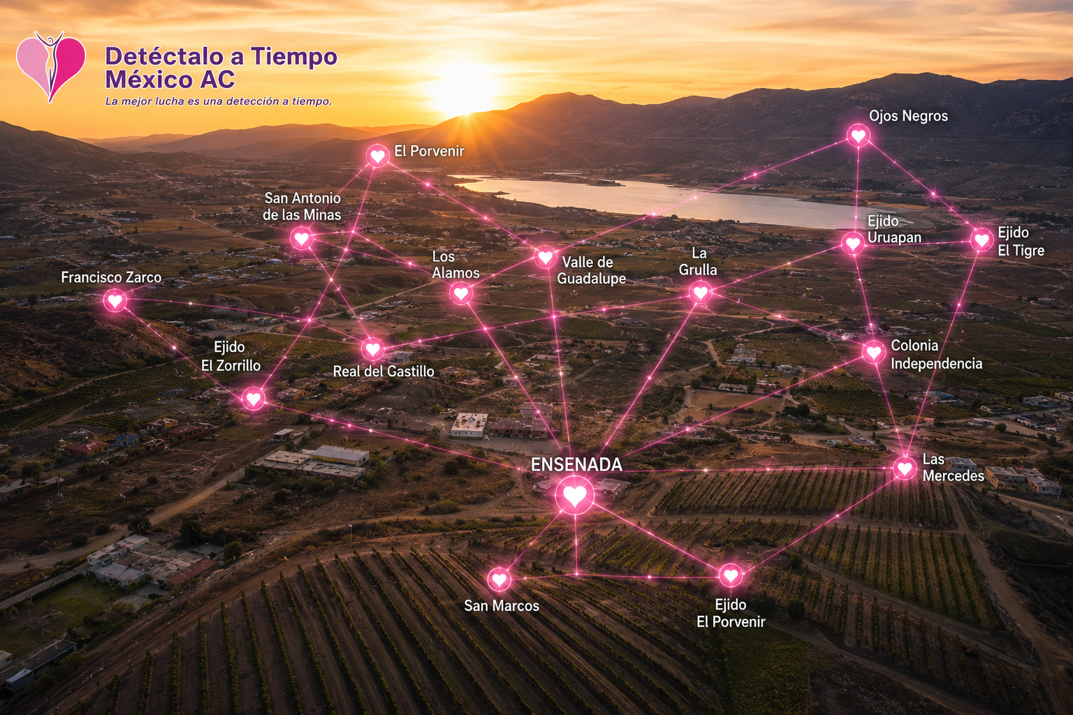 Vista aérea con dron del Valle de Guadalupe con red digital rosa conectando las delegaciones